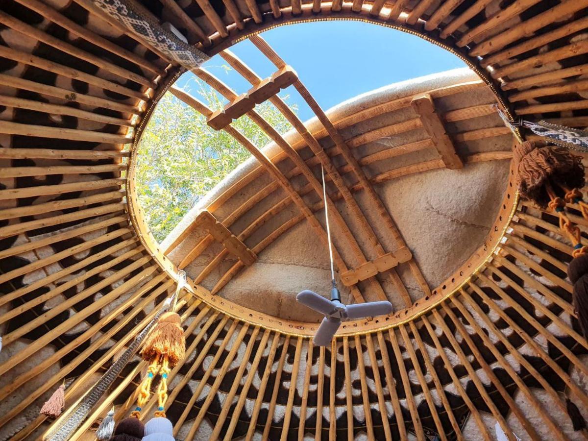 Agat Yurt Camp Bed & Breakfast Kaji-Say Eksteriør bilde