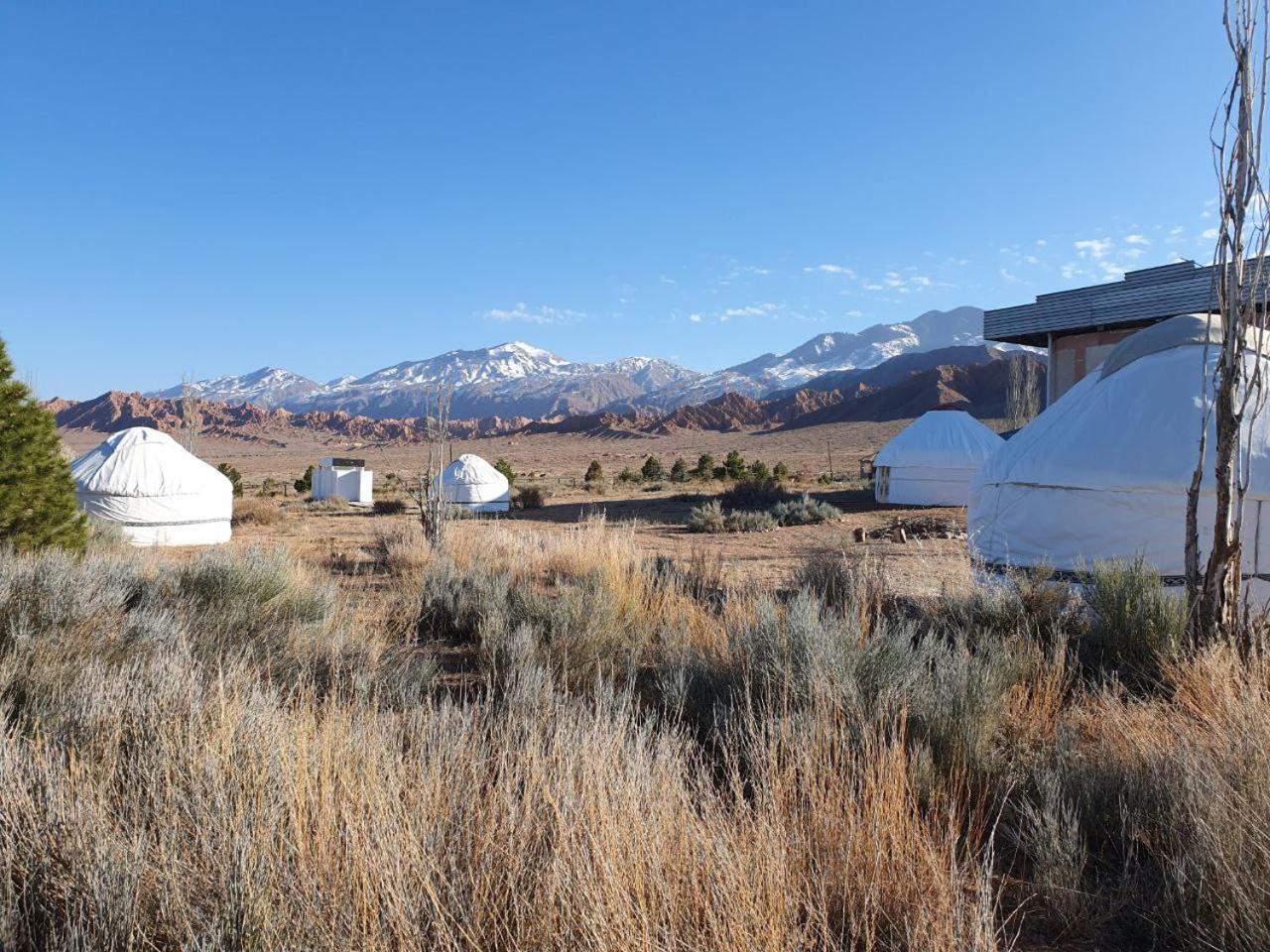 Agat Yurt Camp Bed & Breakfast Kaji-Say Eksteriør bilde