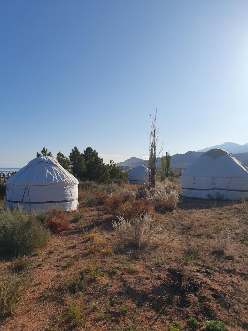 Agat Yurt Camp Bed & Breakfast Kaji-Say Eksteriør bilde